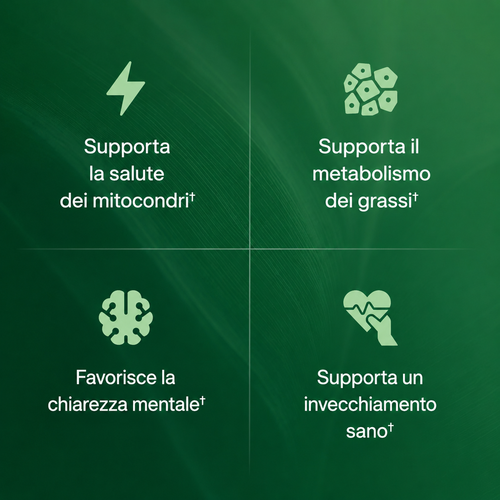 Ruvella Amla - Estratto di Superfrutto Standardizzato