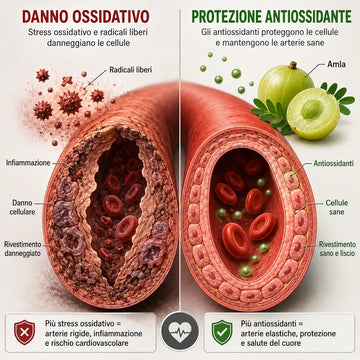 3. Porta La Protezione Antiossidante Esattamente Dove Il Tuo Corpo Sta Perdendo La Battaglia