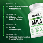 Ruvella AMLA - Estratto di Superfrutto